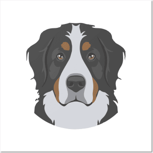 Bernese Mountain Dog Face Posters and Art